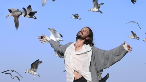 فيلم سيد النوارس 2017 Martıların Efendisi مترجم