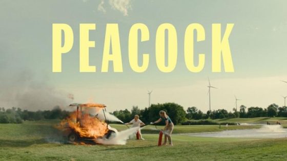 مشاهدة فيلم Peacock 2024 مترجم