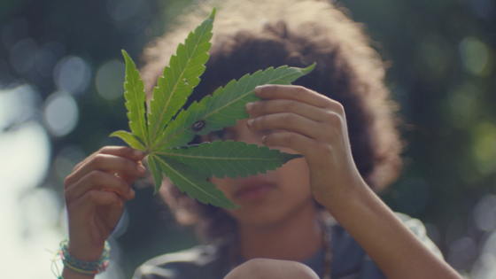 مشاهدة فيلم Grassland 2024 مترجم