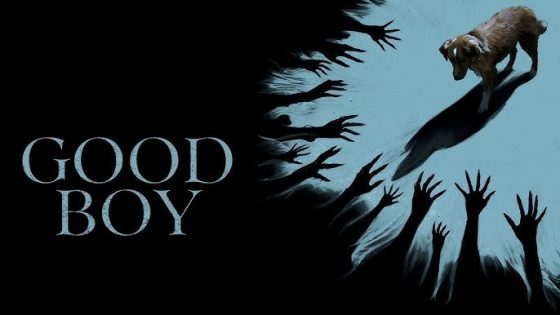 مشاهدة فيلم Good Boy 2025 مترجم